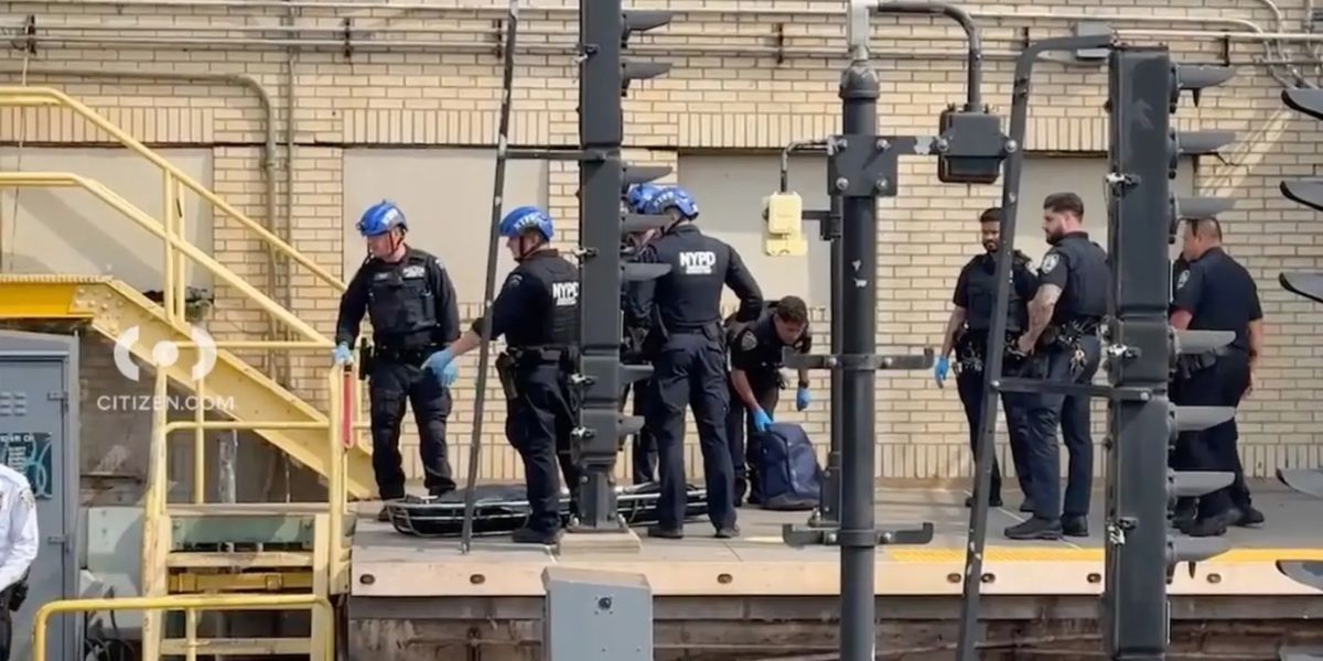 11-year-old Struck Dead by Beam during Subway Stunt in New York City: MTA Reports