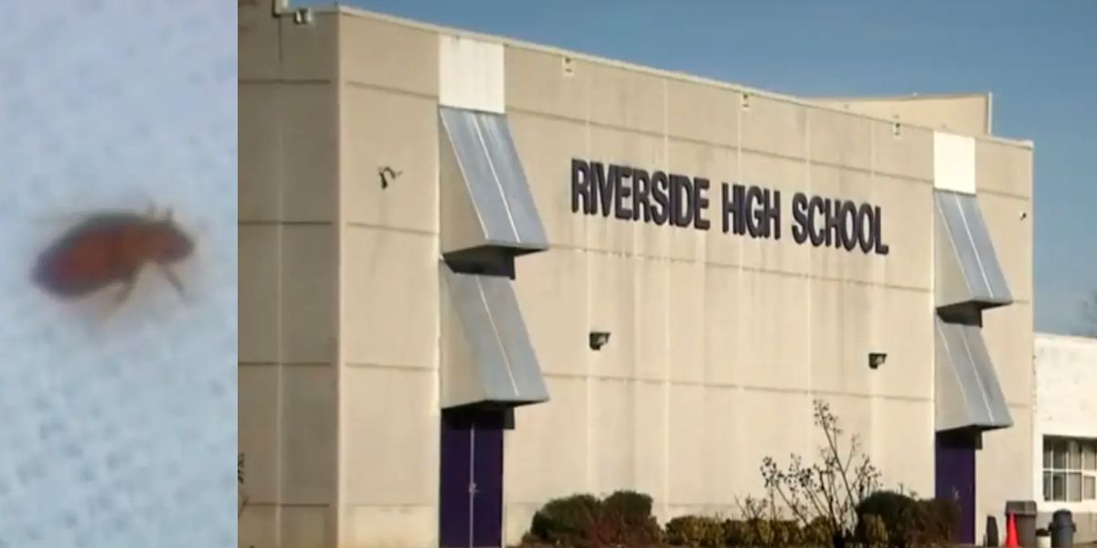 Bedbug Infestation in School-Issued Laptops Causes Chaos at North Carolina High School