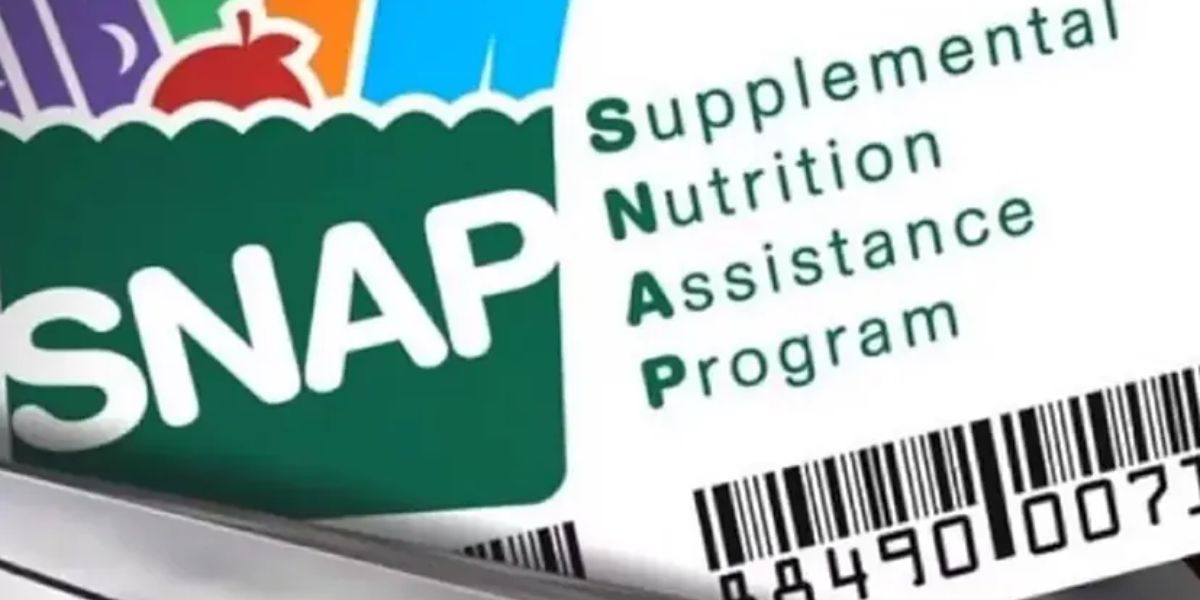 Texas SNAP Payment: When will your Food Stamps be Deposited for October?