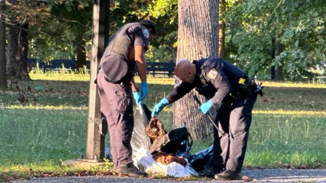 Convicted of Frequently Raping an Underage, A Migrant Man Was Found Hanging In Park In New York City