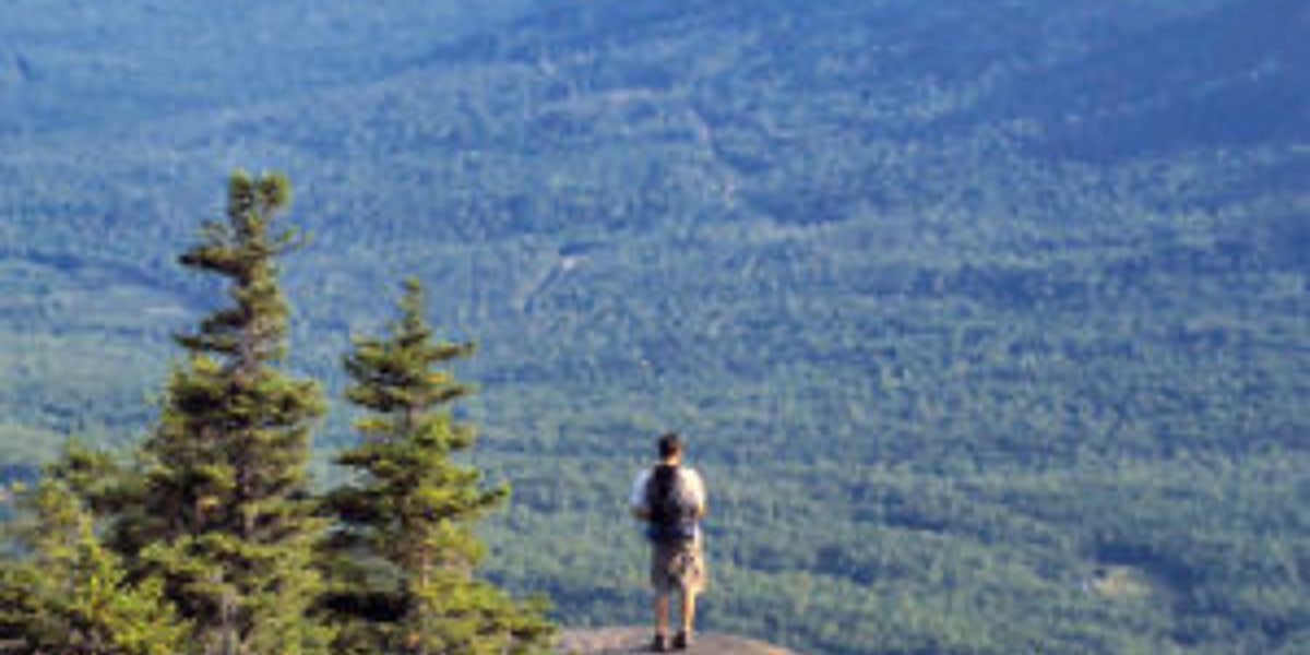 Maine's Unique Vocabulary 18 Slang Terms That Define the Pine Tree State