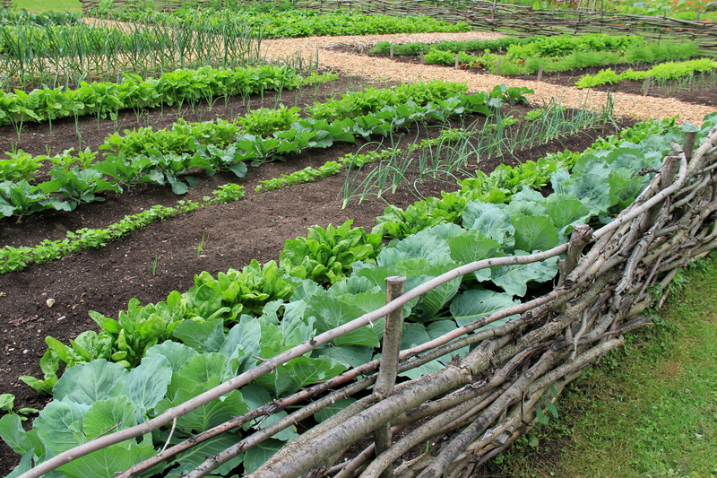 Here Are Some Great Farm to Table Restaurants at the Jersey Shore