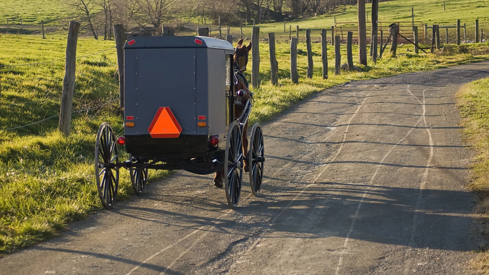 The Amish Secret to Living off the Grid: This Is What They Don’t Want You To Know!