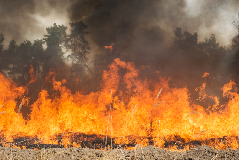 Strong Winds and Dry Conditions Heighten Fire Alert Status Across New Jersey