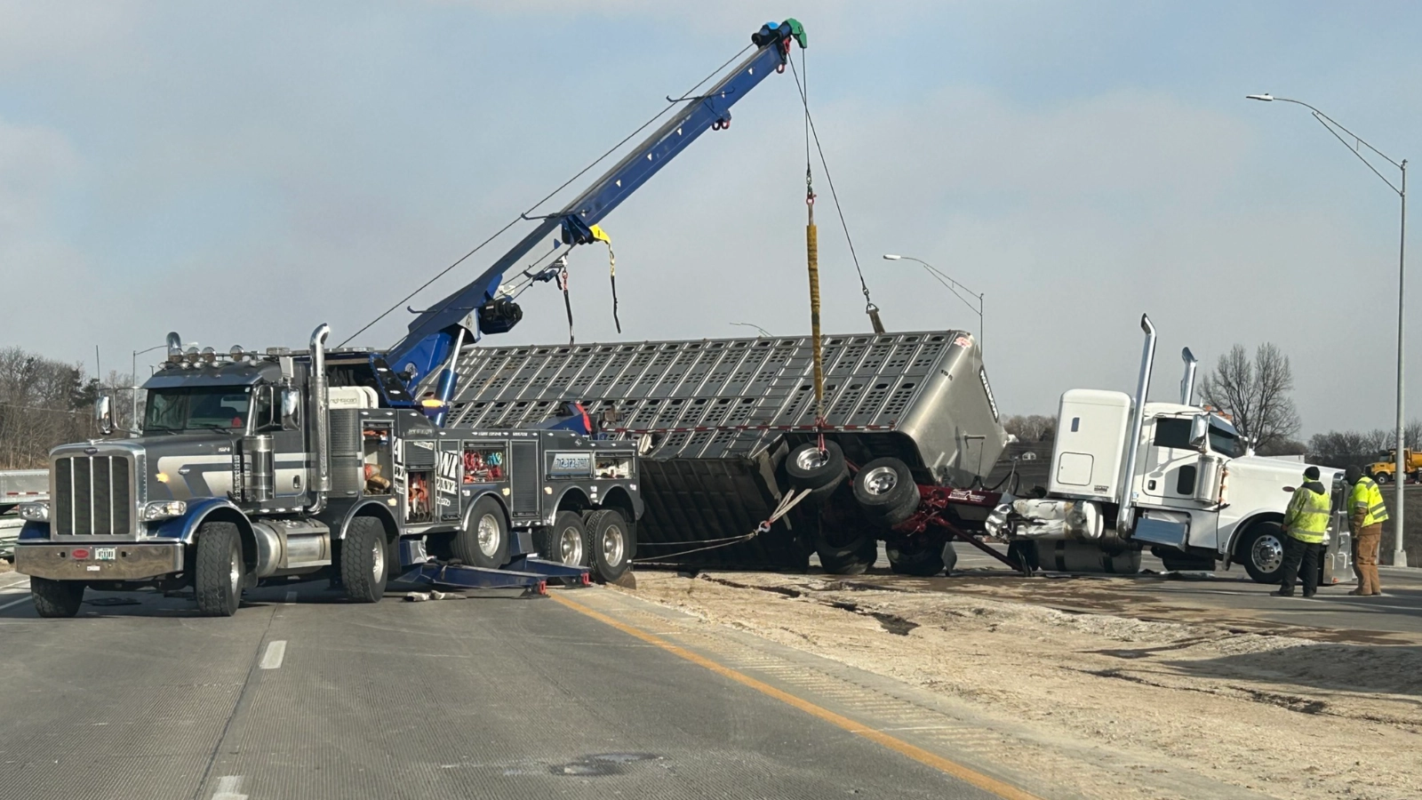 Holy Cow! Dozens of Cattle Run Wild on Nebraska Road After Truck Accident