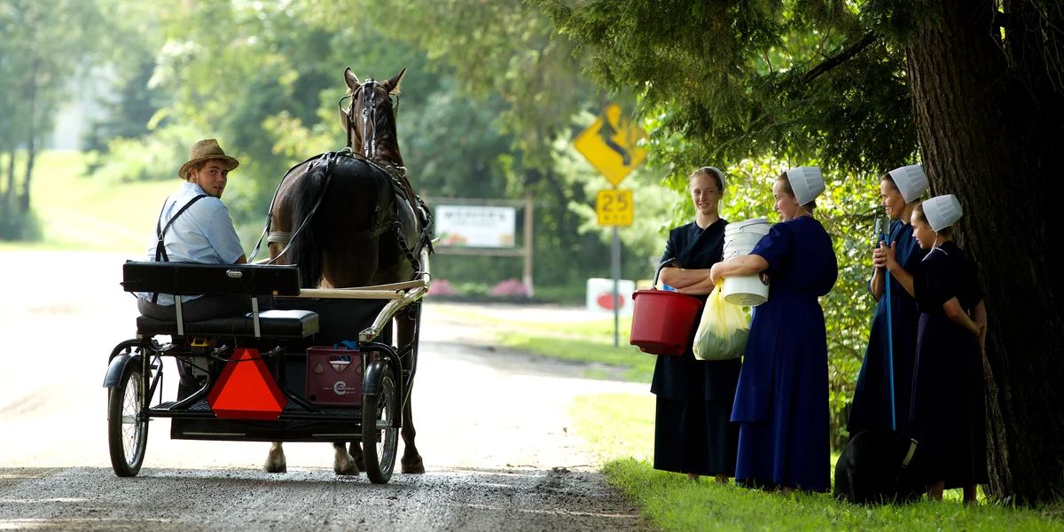 Explore the Quiet Beauty of Minnesota’s Amish Community