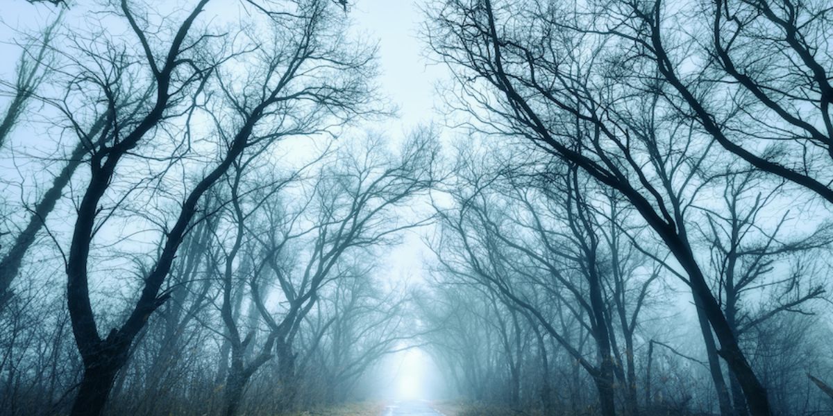 Haunted Roads of North Carolina Where Gravity and the Supernatural Collide