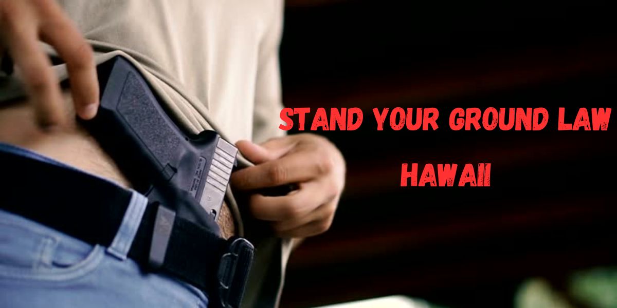 Hawaii's Stand Your Ground Law: What It Means for Self-Defense