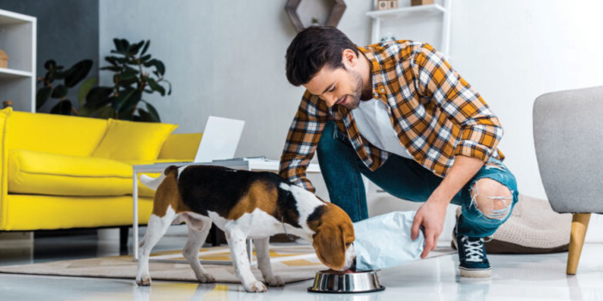 Idaho’s New Pet Feeder Law Changes Everything Pet Owners Thought They Knew About Feeding Animals