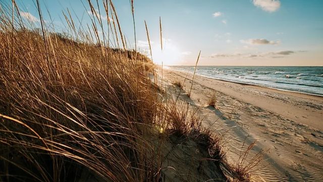 Indiana’s Top 4 Snake-Infested Lakes The Places You Should Avoid This Summer