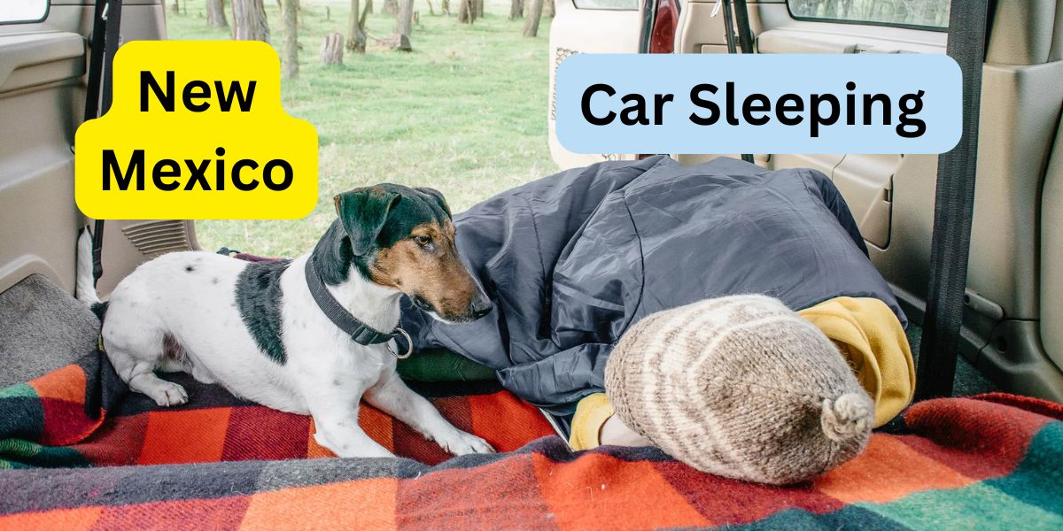 New Mexico's New Sleeping-in-Car Laws You Should Know These Points