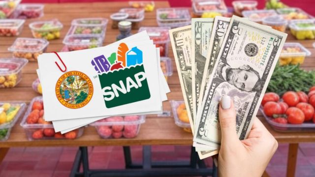 SNAP Benefits in Florida Eligible Families May Qualify for Up to $1,756 in Aid