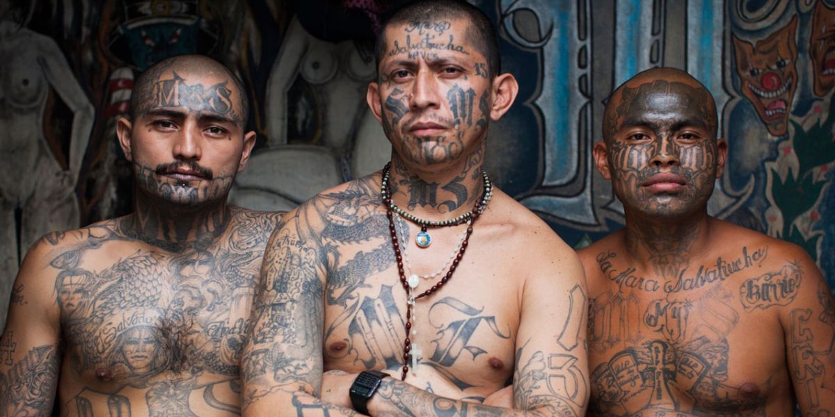 The 5 Most Dangerous Gangs in California Right Now – What You Need to Know