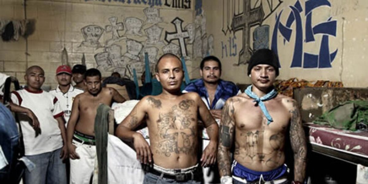 The 5 Most Dangerous Gangs in California Right Now – What You Need to Know