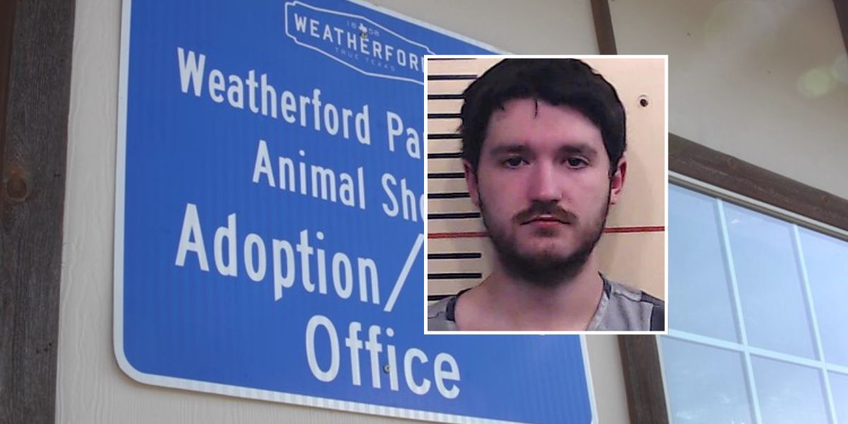 Weatherford Animal Shelter Horror Man Gets 40 Years for Killing and Torturing Kittens