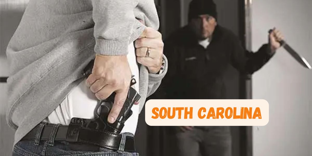 Your Self-Defense Rights: Can You Use Stand Your Ground in South Carolina?