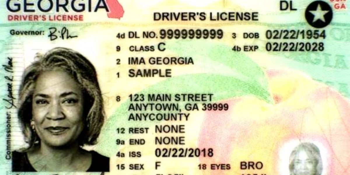 Driver’s License Renewals in Georgia Latest Requirements and Rules for Drivers