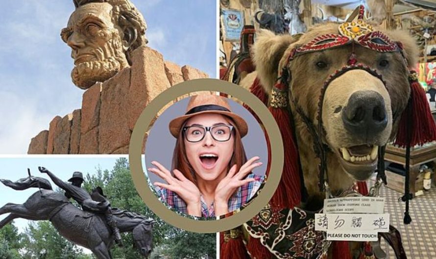 10 Bizarre Roadside Attractions Everyone Visits in Wyoming