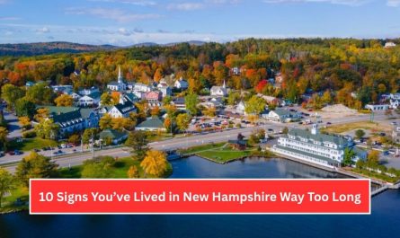 10 Signs You’ve Lived in New Hampshire Way Too Long (And Wouldn’t Have It Any Other Way)