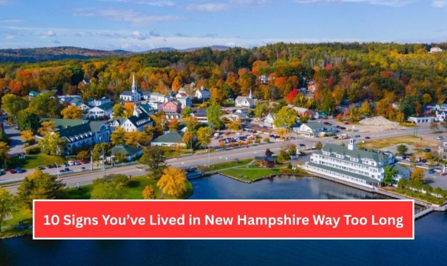 10 Signs You’ve Lived in New Hampshire Way Too Long (And Wouldn’t Have It Any Other Way)