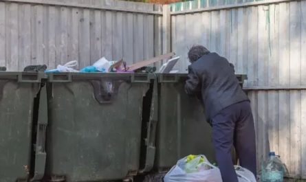 Dumpster Diving in Alabama What You Need to Know Before You Dive Straight in