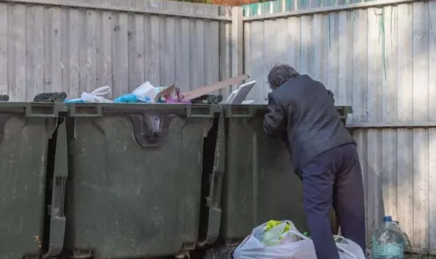 Dumpster Diving in Alabama: What You Need to Know Before You Dive Straight in
