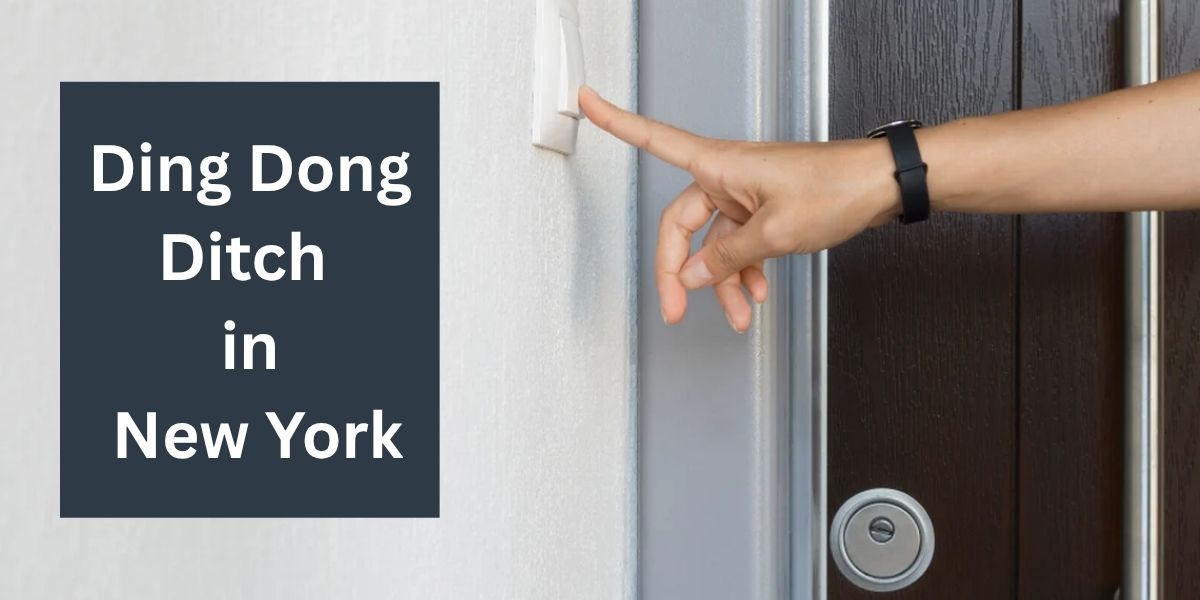 Is Ding Dong Ditch Illegal in New York What You Need to Know