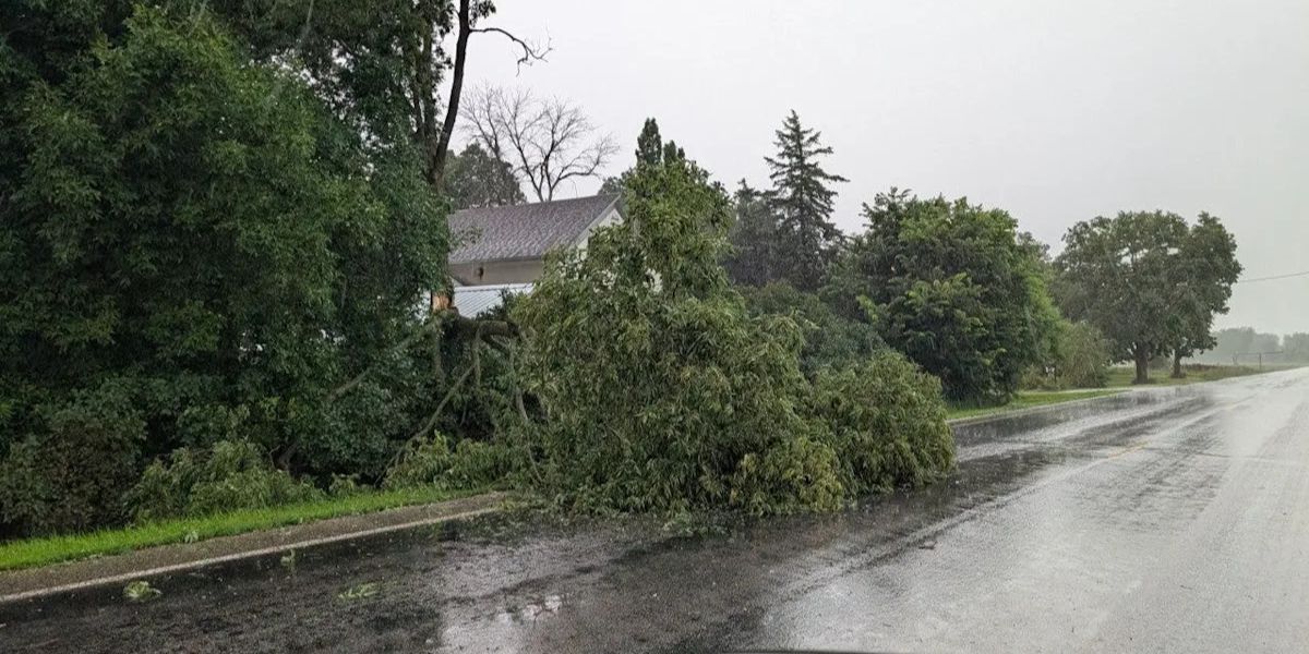 Severe Storms Hit Southern Minnesota, Causing Flooding and Power Outages Across the Twin Cities
