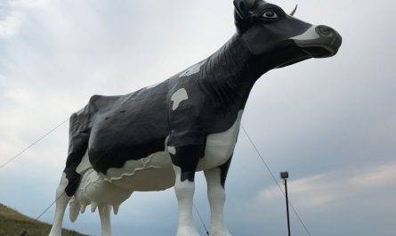 Ten Unusual Yet Attractive Roadside Attractions to Explore in North Dakota