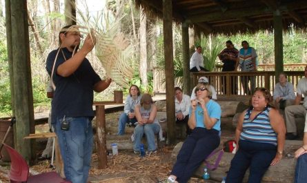 Top 8 Places to Explore Native American Heritage in Florida