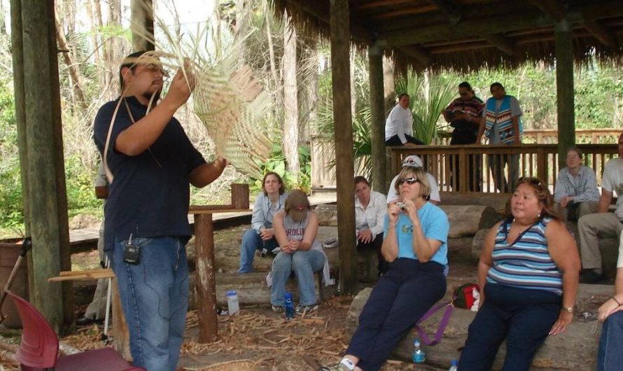 Top 8 Places to Explore Native American Heritage in Florida