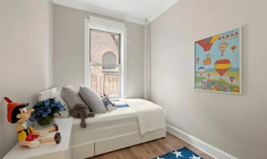 Elan Zafir Puts NYC Apartment On Market For $800K