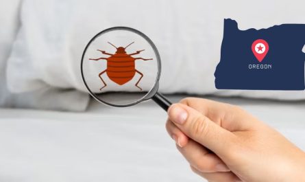 Bed Bug Infestation in Oregon Five Cities Grappling with Persistent Outbreaks in 2025