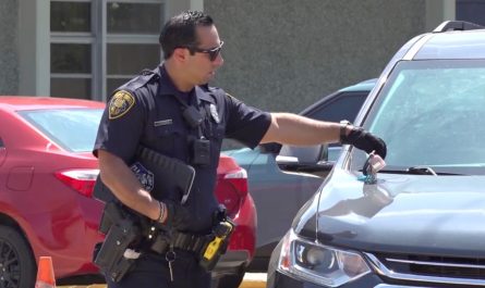 Daycare Owner Arrested for Leaving Five Children in Hot Car in Houston - Police