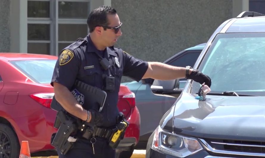 Daycare Owner Arrested for Leaving Five Children in Hot Car in Houston – Police