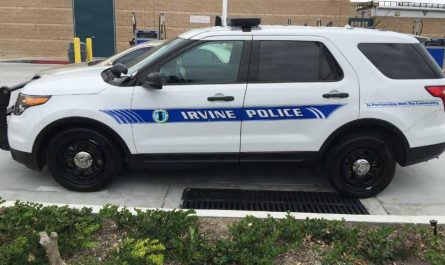 Los Angeles Woman Arrested for Stealing $900 in High-End Products from Irvine Store