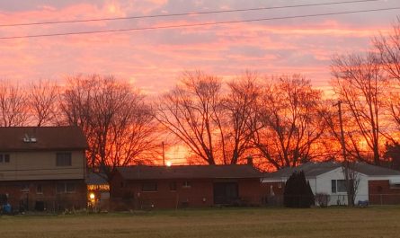 Southeast Michigan to Witness Perfect Weather Weekend with Sunshine and Mild Temperatures