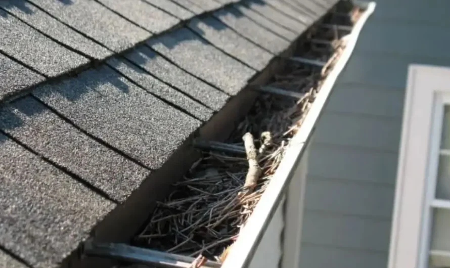 Stop Doing These 17 Things — They’re Slowly Destroying Your House