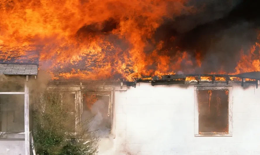 Firefighters Rescue Three Pets from Hutchinson House Fire