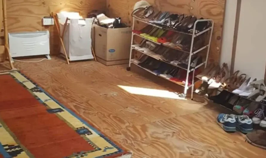 Declutter Your Attic This Summer: 7 Smart Tricks That Actually Work