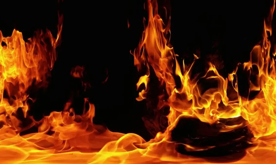San Antonio House Fire Destroys Home, Family Dog Dies
