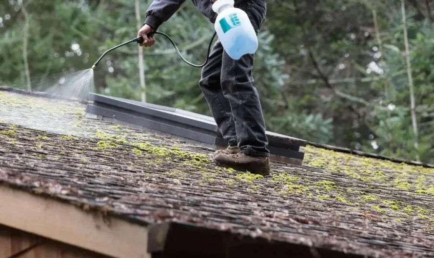Algae on Your Roof? Here Are 7 Fast Ways to Fix It
