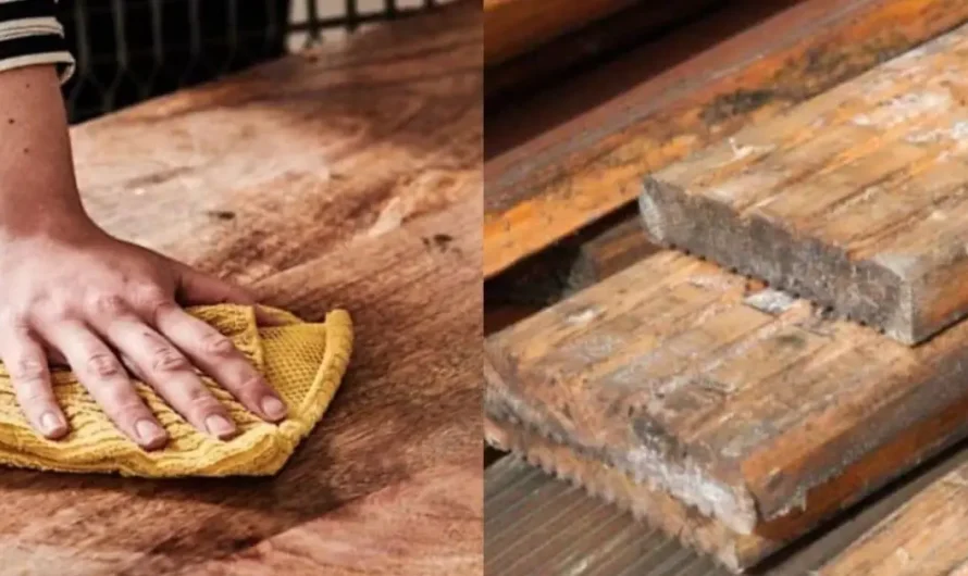 Mold on Wood? 7 Easy Solutions You Can Do Yourself