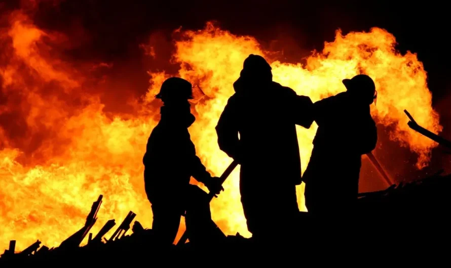 Anchorage Home Fire Leaves Dog Dead, Residents Safe