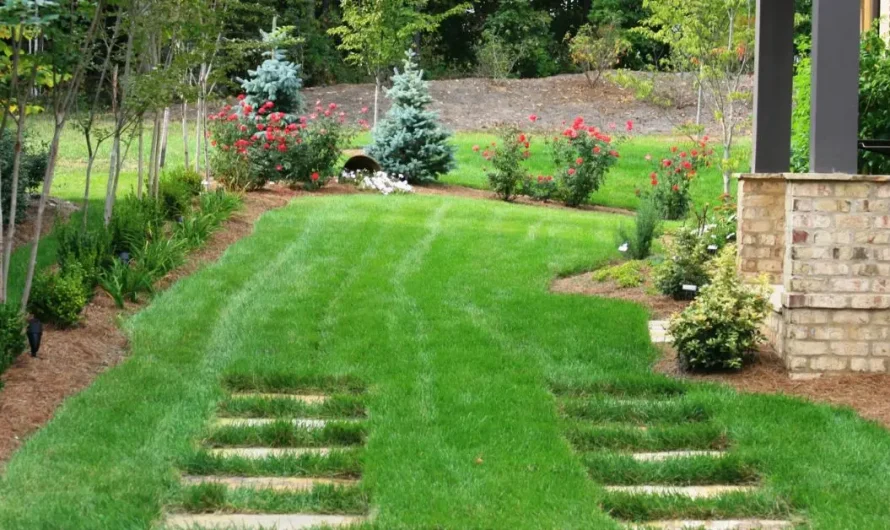 These 7 Small Curb Appeal Mistakes Could Be Costing You Dollars