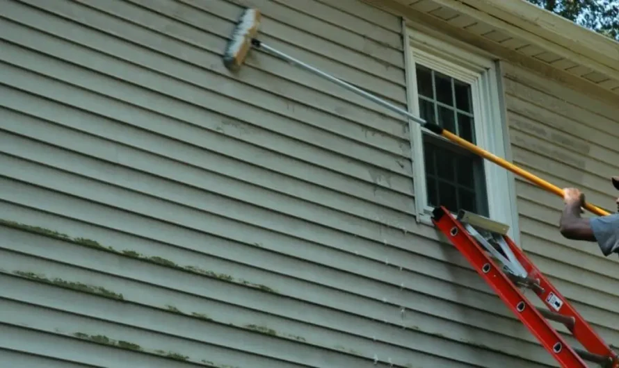 See These 4 Signs? It’s Time to Clean Your Home’s Exterior—Before Damage Sets In