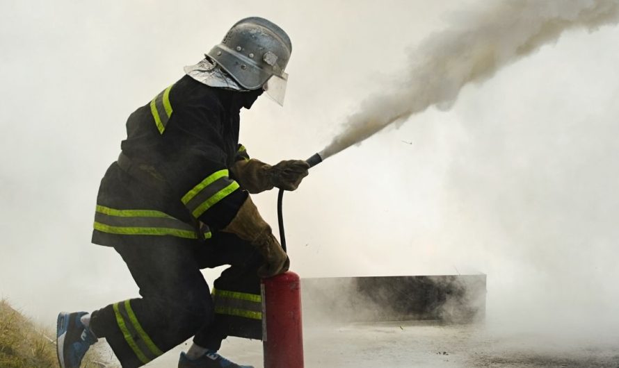 Chesterfield House Fire Claims Lives of 3 Dogs