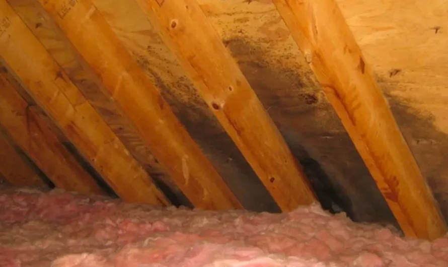 7 Sneaky Air Leaks in Your Home (and How to Fix Them Quickly)