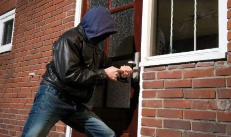 10 Things Burglars Don’t Want You to Know About Home Security