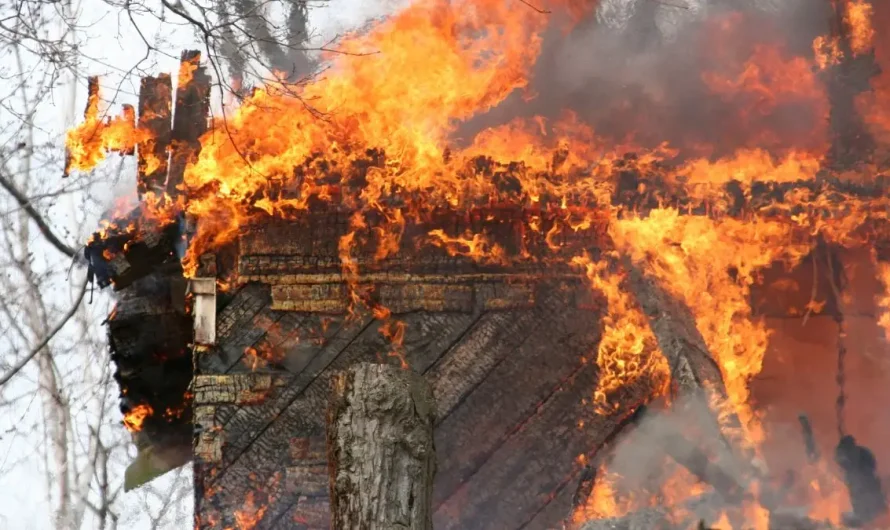 South Alabama Mobile Home Fire Kills Woman and Dog